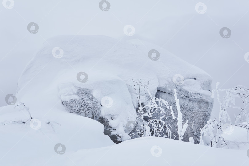 Скачать заснеженные скалы и заиндевелые деревья на горном перевале зимой фотосток Ozero