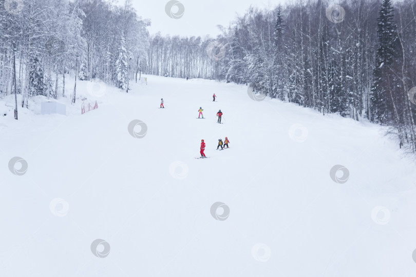 Скачать прокатиться по лесной лыжне в Пермском крае, Россия фотосток Ozero