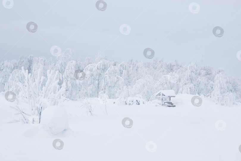 Скачать заснеженный лесистый пейзаж с покрытой инеем беседкой фотосток Ozero