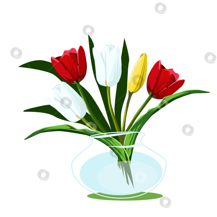 Скачать Тюльпаны в стеклянной вазе фотосток Ozero