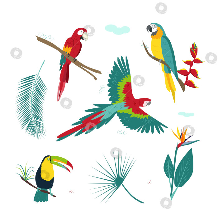 Скачать Коллекция красочных тропических попугаев с растениями фотосток Ozero