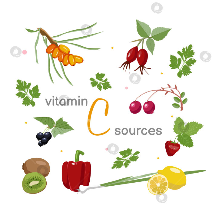 Скачать Набор различных овощей, фруктов и растений-источников витамина С. фотосток Ozero