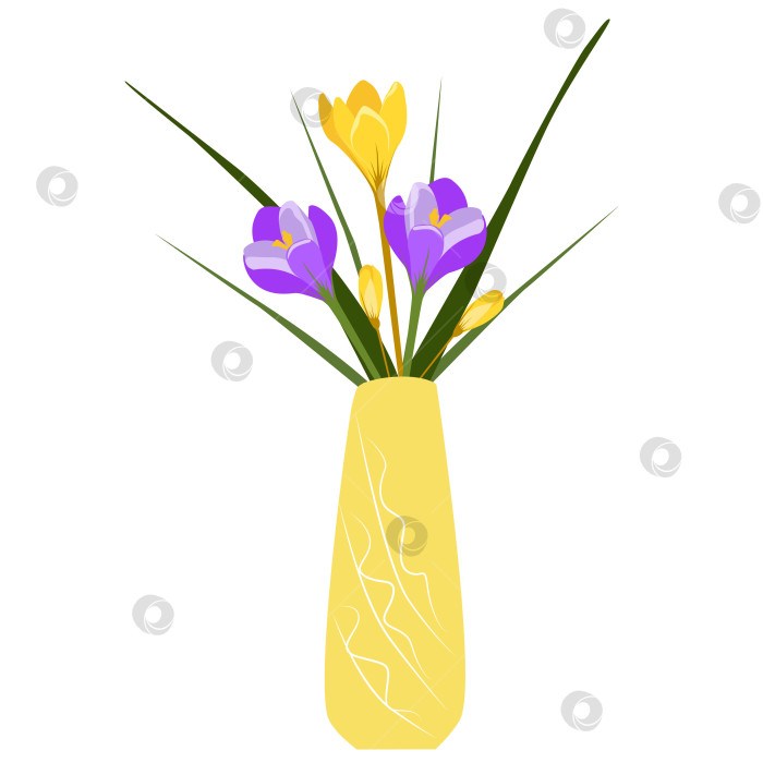 Скачать Желтые и фиолетовые крокусы в вазе фотосток Ozero