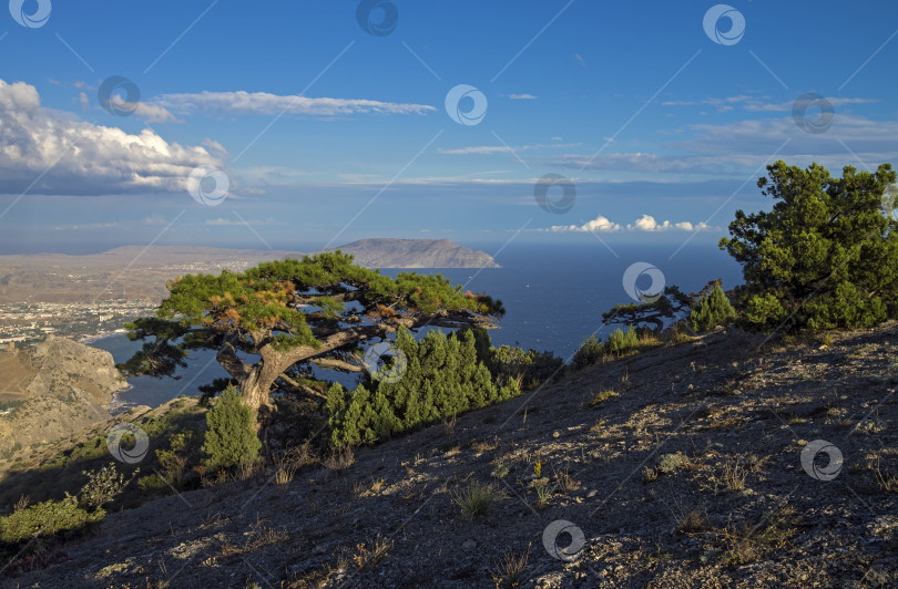 Скачать Вид с вершины горы. фотосток Ozero