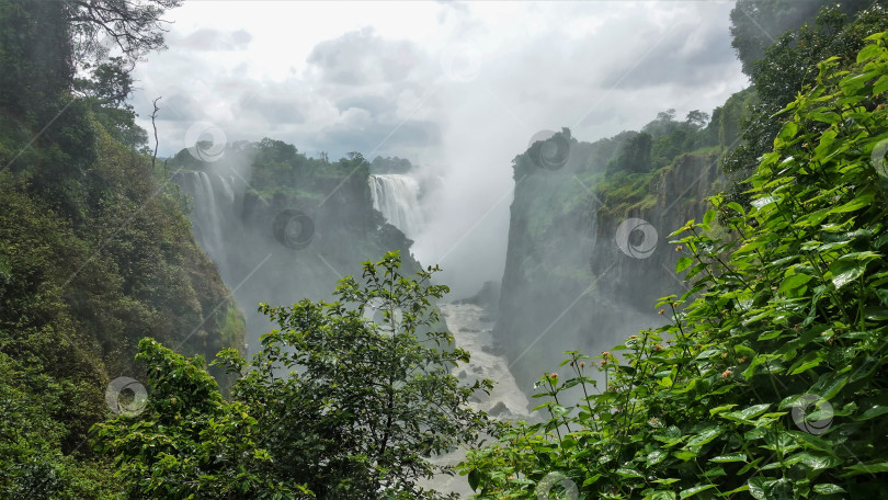 Скачать Мощные потоки водопада Виктория обрушиваются в пропасть. фотосток Ozero