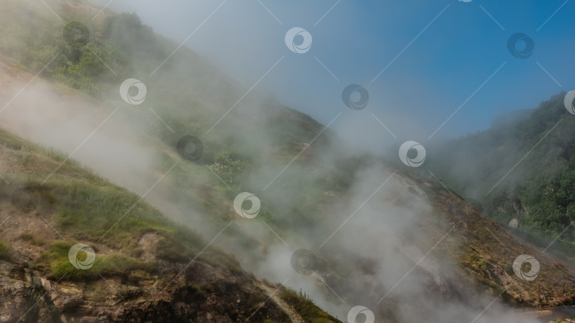 Скачать Геотермальная зона Долины гейзеров. Камчатка. фотосток Ozero