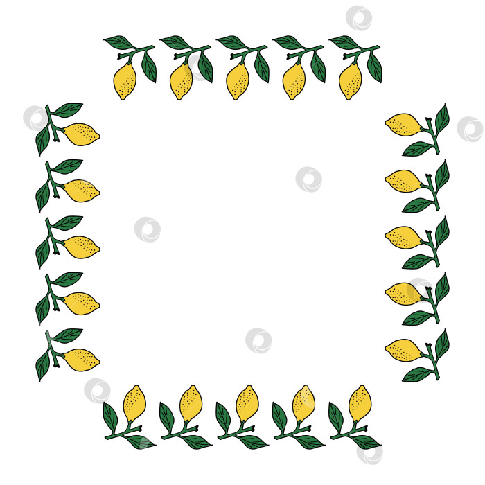 Скачать Квадратная рамка с лимоном на зеленой ветке на белом фоне. Векторное изображение. фотосток Ozero