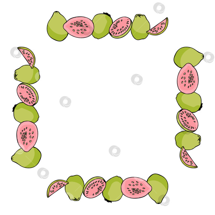 Скачать Квадратная рамка с разными видами гуавы на белом фоне. Векторное изображение. фотосток Ozero