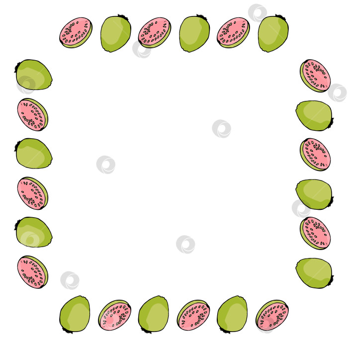 Скачать Квадратная рамка с гуахавой на белом фоне. Векторное изображение. фотосток Ozero