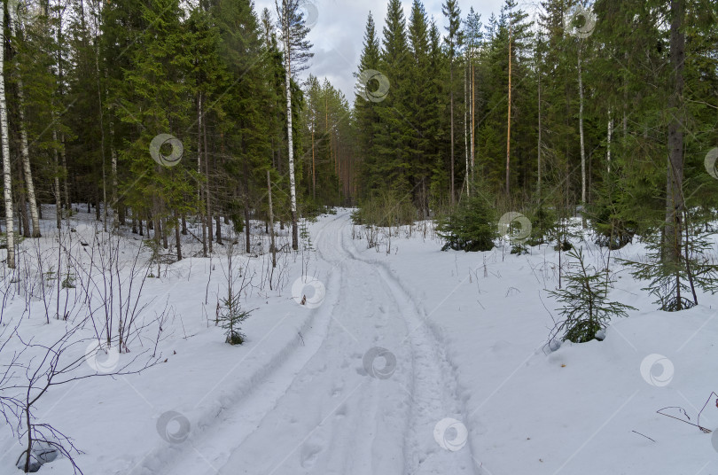 Скачать Автомобильная трасса в зимнем лесу. фотосток Ozero