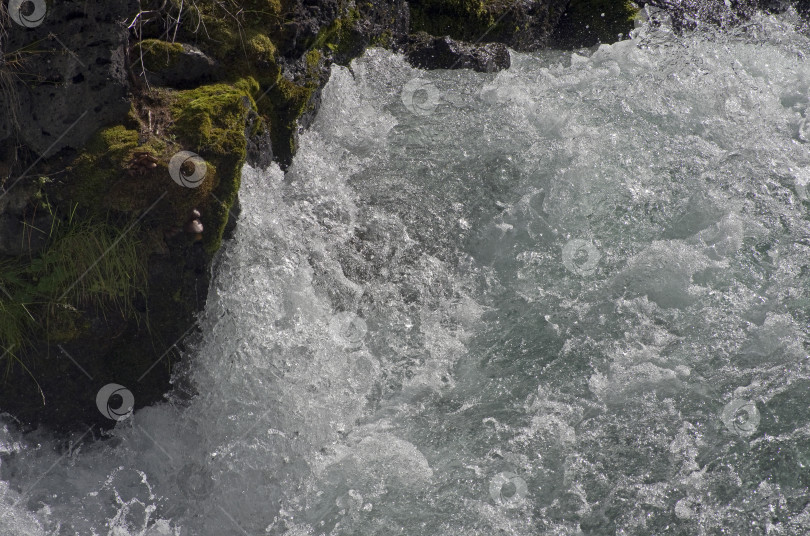 Скачать Бурная вода на речных порогах. фотосток Ozero
