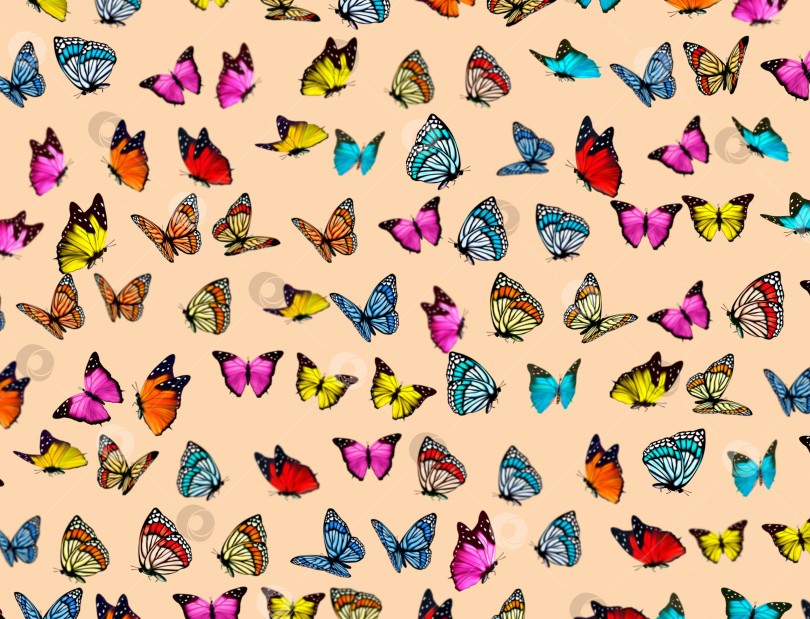 Скачать Абстрактный фон, бабочки разных видов на светлом фоне фотосток Ozero
