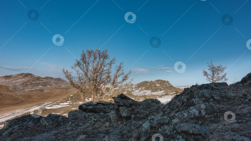 Скачать Зимний сибирский пейзаж. фотосток Ozero