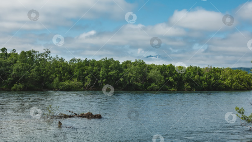 Скачать Спокойная голубая река. На берегу раскинулись заросли зеленого леса. фотосток Ozero