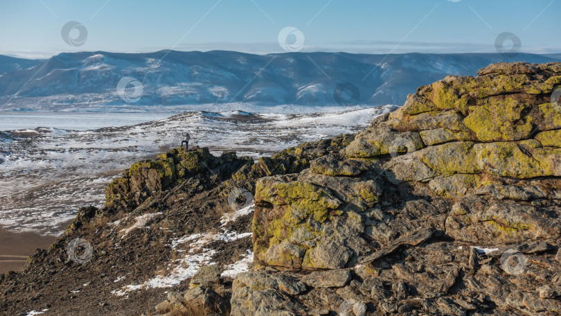 Скачать Желтые лишайники растут на потрескавшихся гранитных скалах. фотосток Ozero