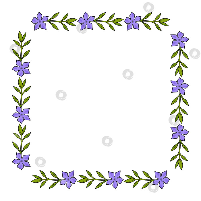 Скачать Квадратная рамка с фиолетовым барвинком на белом фоне. Весенние цветы. Стиль каракулей. Векторное изображение. фотосток Ozero