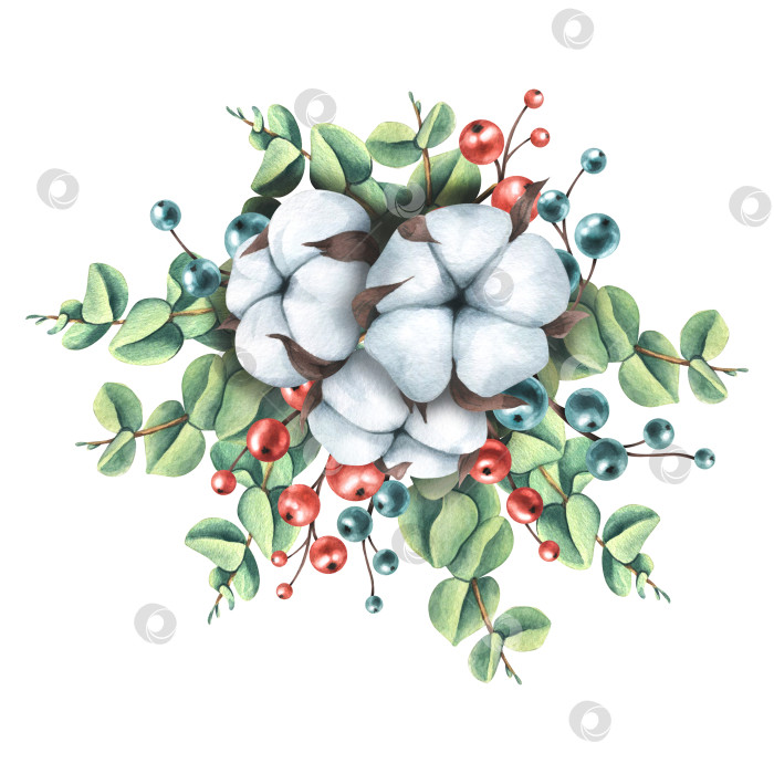 Скачать Рождественская композиция из веток эвкалипта с хлопком и ягодами. Акварельная иллюстрация из большого набора "УЮТНАЯ зима". Для украшения и декорирования рождественских открыток, декора фотосток Ozero