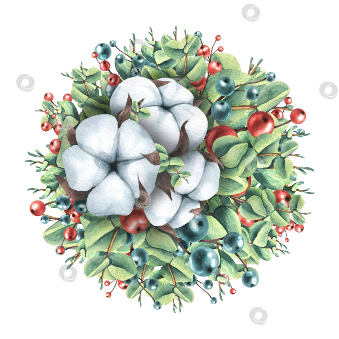 Скачать Рождественская композиция из веток эвкалипта с хлопком и ягодами. Акварельная иллюстрация из большого набора "УЮТНАЯ зима". Для украшения и декорирования рождественских открыток, декора. фотосток Ozero