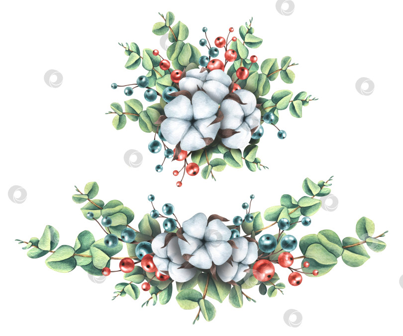 Скачать Набор рождественских композиций из веток эвкалипта с хлопком и ягодами. Акварельная иллюстрация из большого набора "УЮТНАЯ зима". Для украшения и декорирования рождественских открыток, декора интерьера. фотосток Ozero