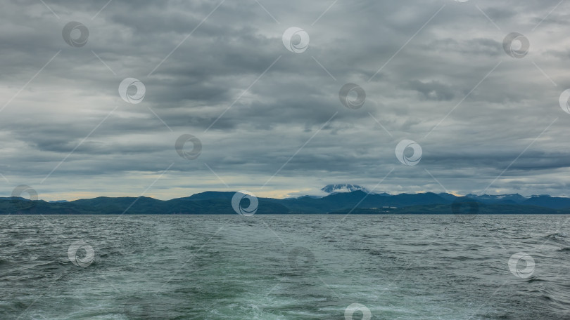 Скачать На поверхности Тихого океана видна рябь, пенный след от яхты. фотосток Ozero