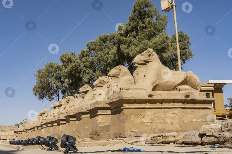 Скачать Знаменитая аллея сфинксов-баранов в Карнакском храме Луксора. фотосток Ozero