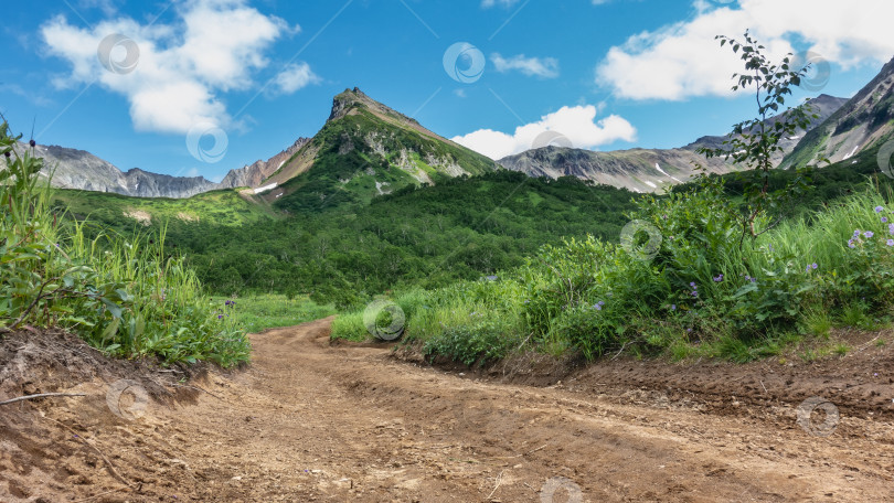 Скачать Грунтовая дорога петляет по лугу. фотосток Ozero