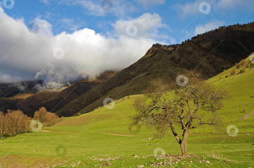 Скачать Весна в Кавказских горах. фотосток Ozero