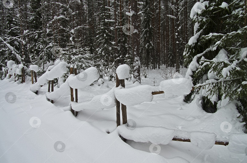 Скачать Занесенное снегом препятствие в зимнем лесу. фотосток Ozero