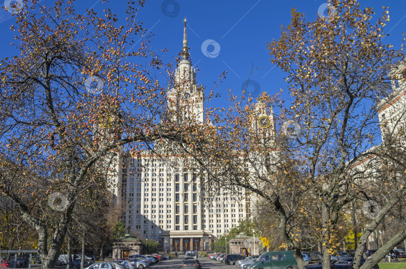 Скачать Спелые яблоки на фоне Московского государственного университета. фотосток Ozero