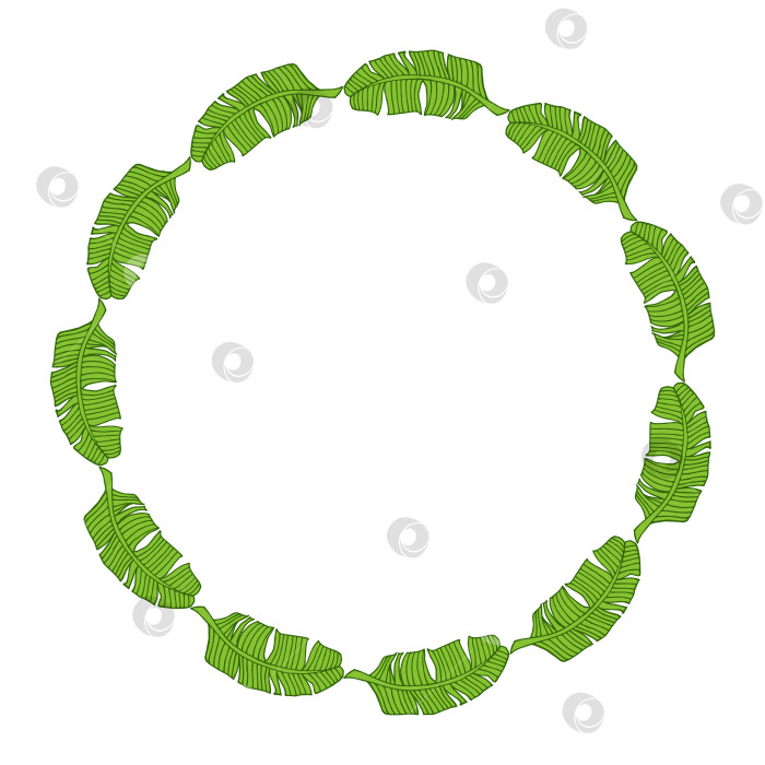 Скачать Круглая рамка с креативными тропическими листьями на белом фоне. Векторное изображение. фотосток Ozero