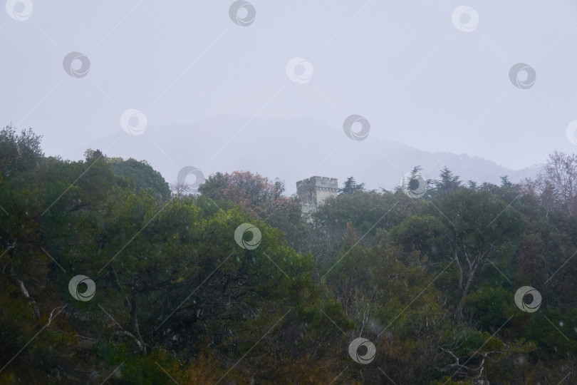 Скачать снегопад над парком Воронцовского дворца в Алупке, в отдалении фотосток Ozero