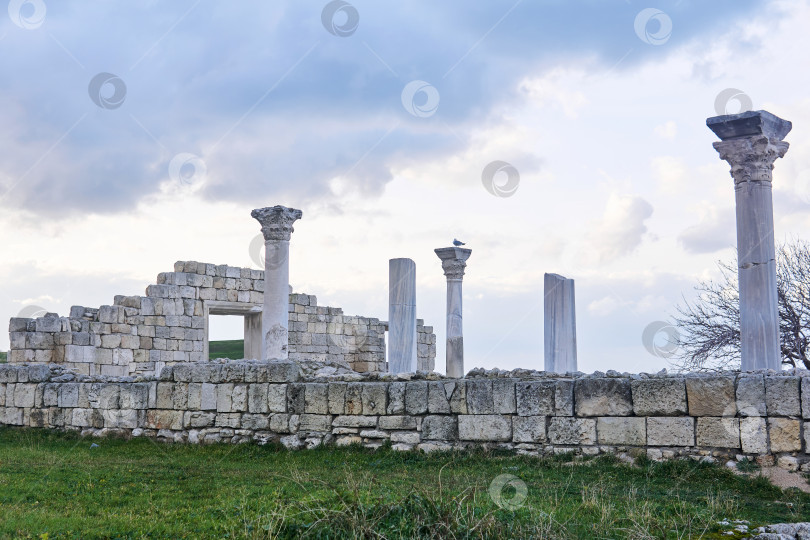 Скачать руины античной греческой базилики с колоннами на фоне зимнего неба фотосток Ozero