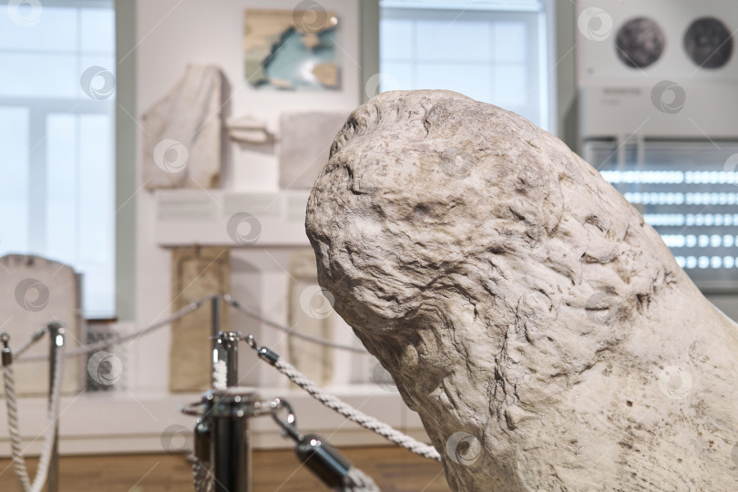 Скачать голова разрушенной античной статуи льва в экспозиции музея фотосток Ozero