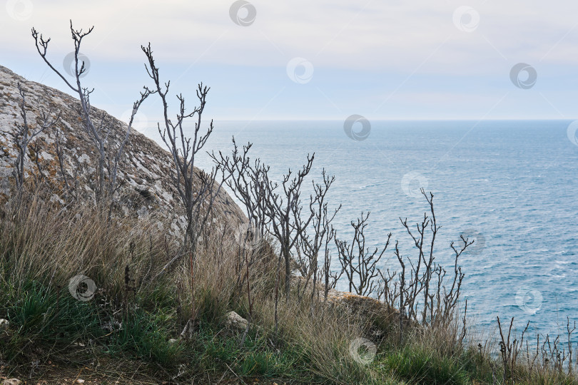 Скачать вид на зимнее море с высокого прибрежного утеса фотосток Ozero