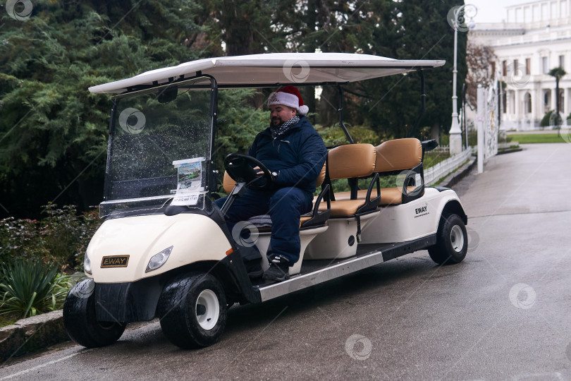 Скачать водитель туристического электромобиля для гольфа в рождественской шляпе выглядит фотосток Ozero