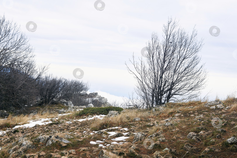 Скачать зимний горный пейзаж на краю пропасти фотосток Ozero