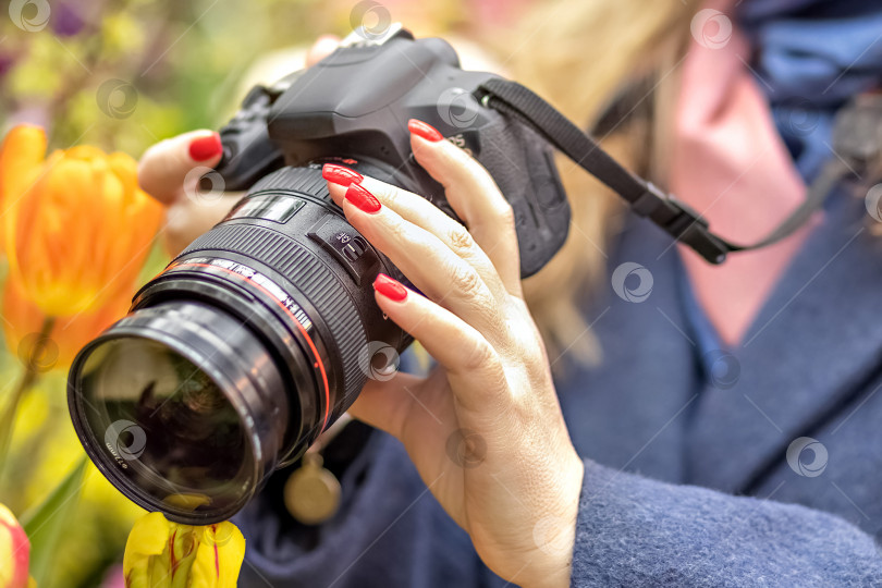 Скачать Женщина-фотограф средних лет фотографирует весенние цветы в ботаническом саду. фотосток Ozero