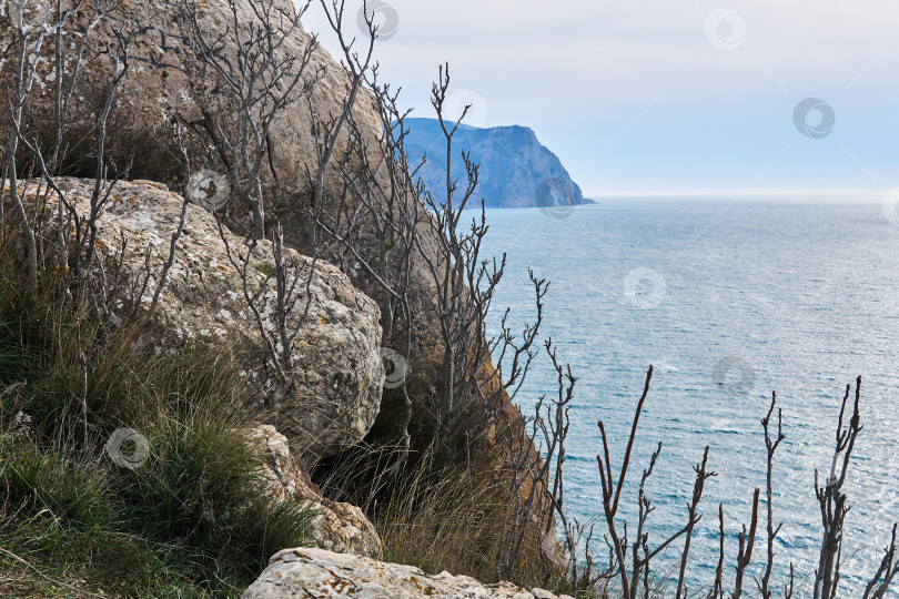 Скачать вид на зимнее море с высокого прибрежного утеса фотосток Ozero