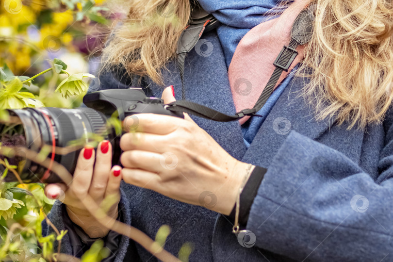 Скачать Женщина-фотограф средних лет фотографирует весенние цветы в ботаническом саду. фотосток Ozero