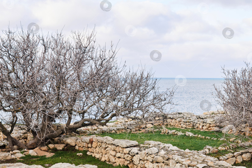 Скачать руины древнегреческого города Херсонес на берегу моря, фотосток Ozero