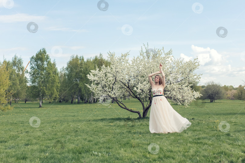 Скачать Молодая красивая блондинка в длинном белом платье позирует возле цветущей вишни в саду, весенний живописный пейзаж фотосток Ozero