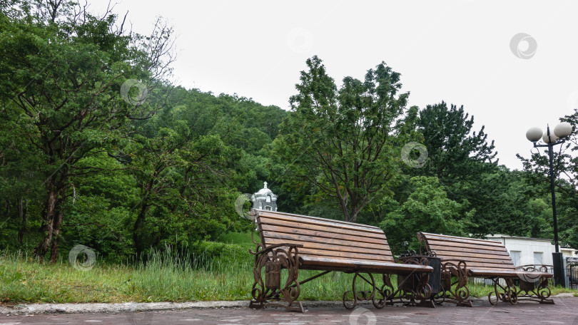 Скачать На тротуаре в парке стоят деревянные скамейки. фотосток Ozero