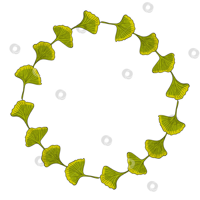 Скачать Круглая рамка с листьями гинкго билоба на белом фоне. Векторное изображение. фотосток Ozero