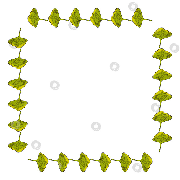 Скачать Квадратная рамка с позитивными листьями гинкго билоба на белом фоне. Векторное изображение. фотосток Ozero