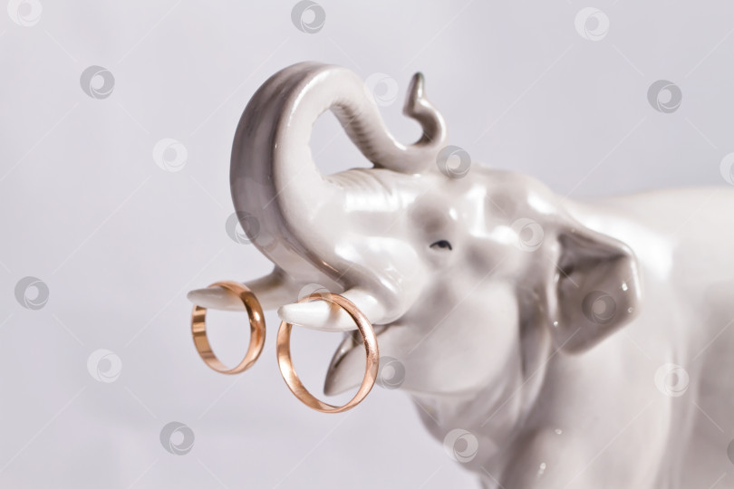 Скачать Золотые обручальные кольца на фарфоровой фигурке слона фотосток Ozero