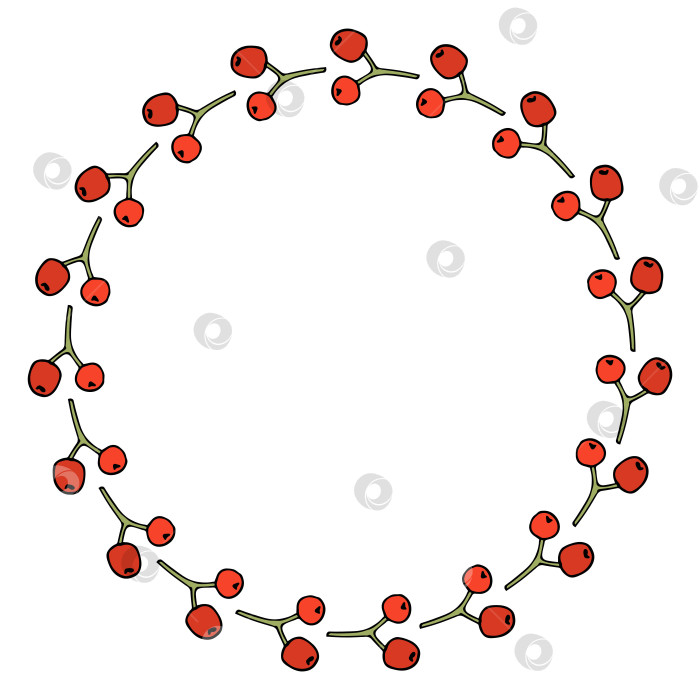 Скачать Круглая рамка из простых ягод рябины на белом фоне. Векторное изображение. Стиль каракулей. фотосток Ozero
