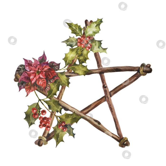 Скачать Акварельная деревянная звезда с рождественским растением, ягодами и листьями пуансеттии и остролиста. Нарисованное от руки домашнее деревянное украшение, выделенное на белом фоне. Ретро-вывеска на Рождество, эко-декор, скандинавский стиль. фотосток Ozero