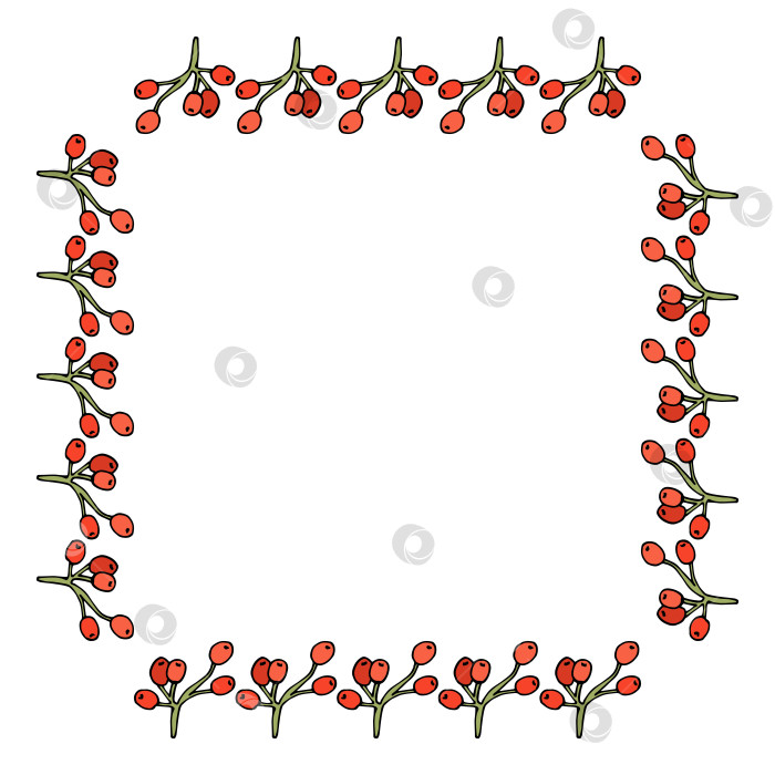 Скачать Квадратная рамка с креативными ягодами рябины на белом фоне. Векторное изображение. Стиль каракулей. фотосток Ozero