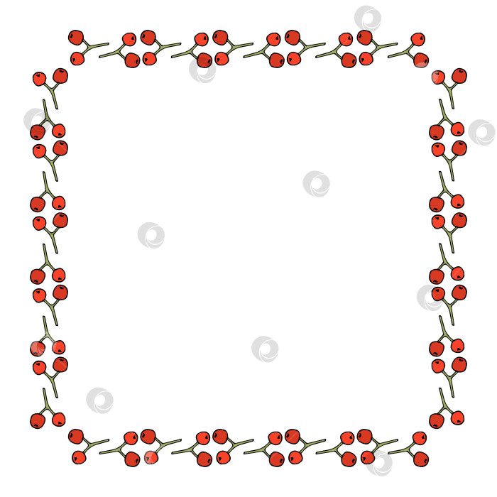 Скачать Квадратная рамка из простых ягод рябины на белом фоне. Векторное изображение. Стиль каракулей. фотосток Ozero