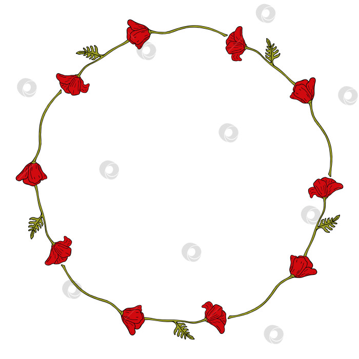 Скачать Круглая рамка с прекрасными красными маками на белом фоне. Векторное изображение. Стиль каракулей. фотосток Ozero
